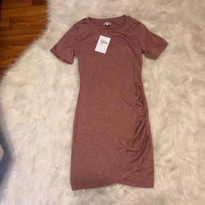 NWT Blush Bodycon Dress